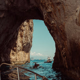 CAPRI