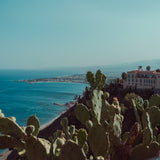 FIGOTINO