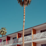 HOTEL PALM
