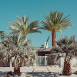 PALMS ENTRANCE