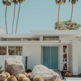 BLUE DOOR
