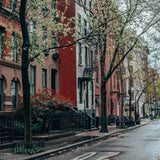 PERRY ST
